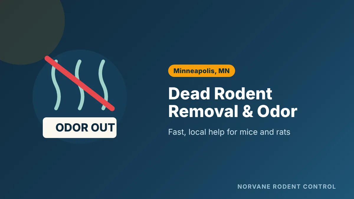 Dead rodent removal and odor control in Minneapolis homes