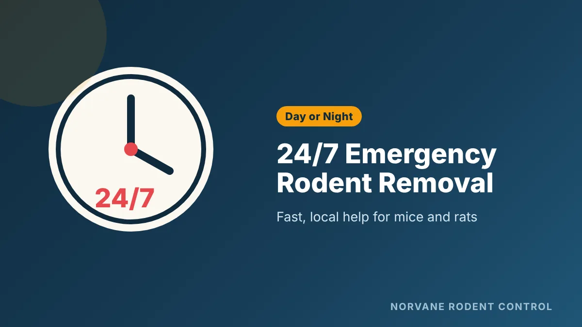 24/7 emergency rodent removal in Minneapolis day or night