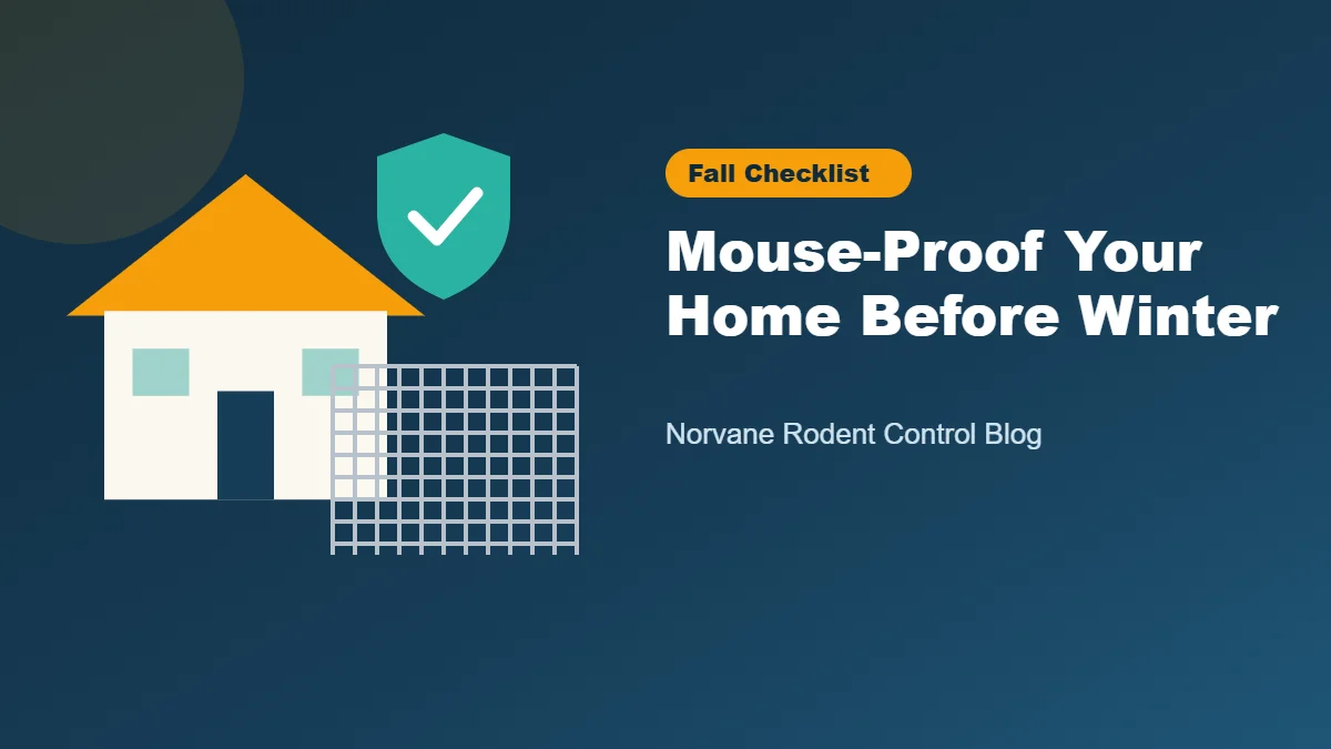 Fall checklist to mouse-proof a Minneapolis home before winter