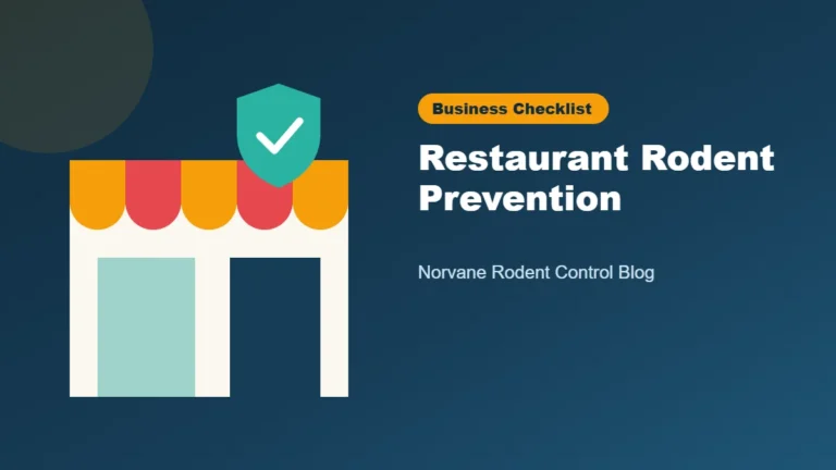 Rodent prevention checklist for Twin Cities restaurants