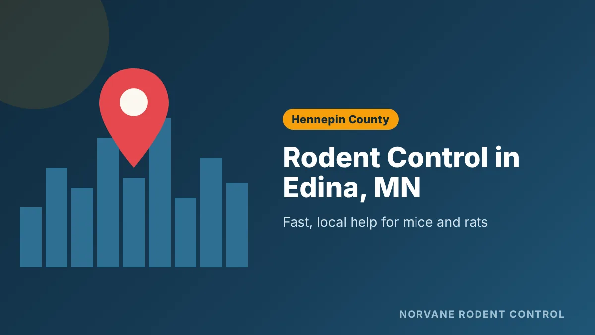 Discreet rodent control and mouse-proofing in Edina, MN