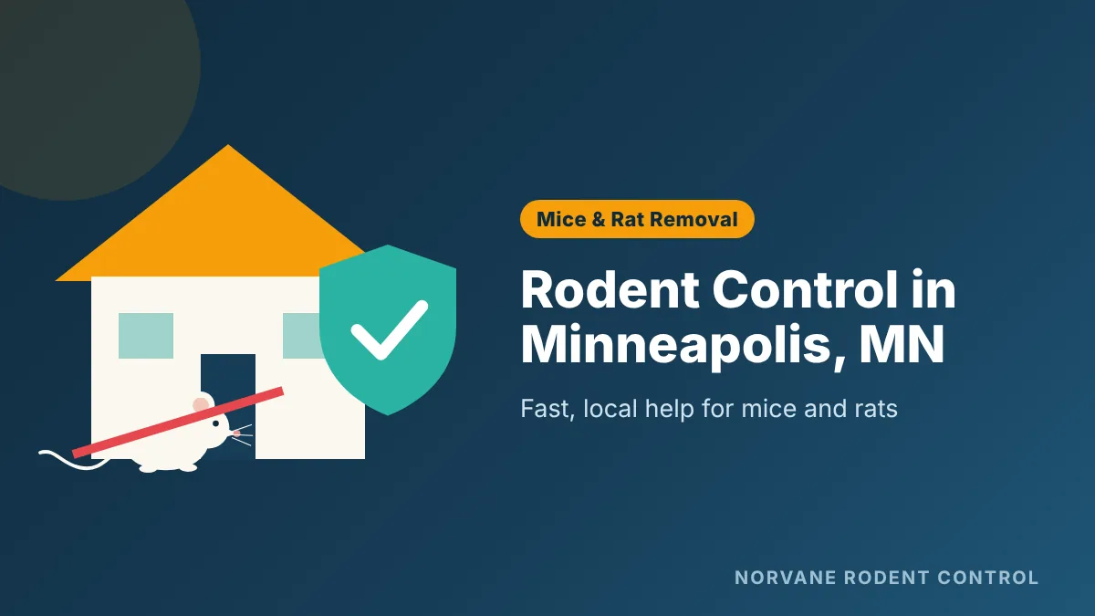 Rodent Control in Minneapolis, MN