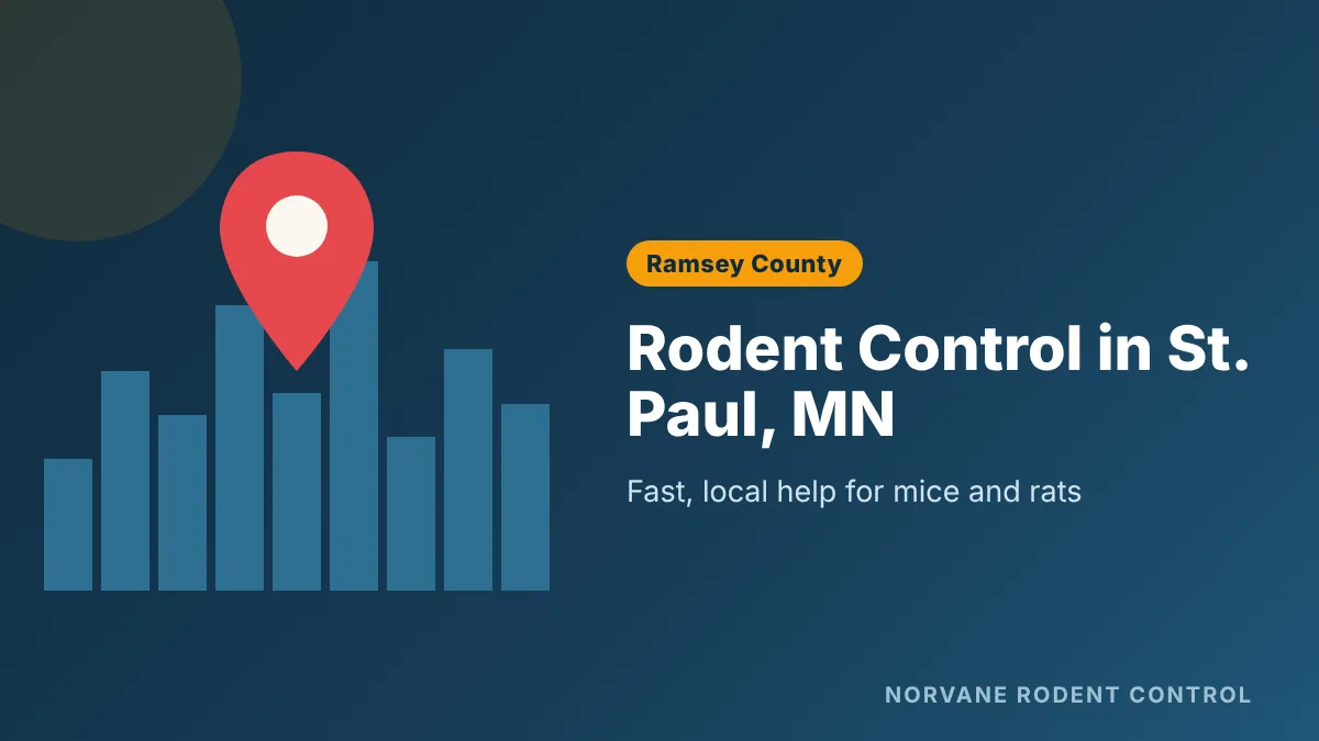 Rodent control and mouse exterminator service in St. Paul, MN