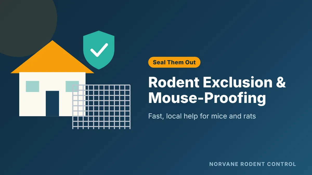 Rodent exclusion and mouse-proofing a Minneapolis home